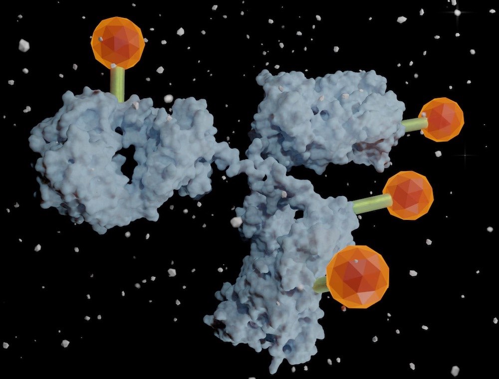 Antibody-drug conjugates make their mark at ASCO