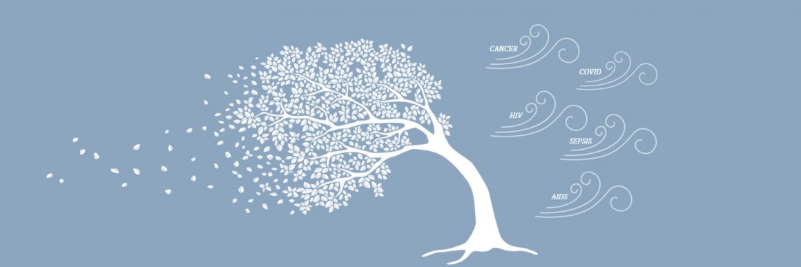 Immune resilience: a clue to why some people live longer, have fewer infections, and get less recurrent cancer