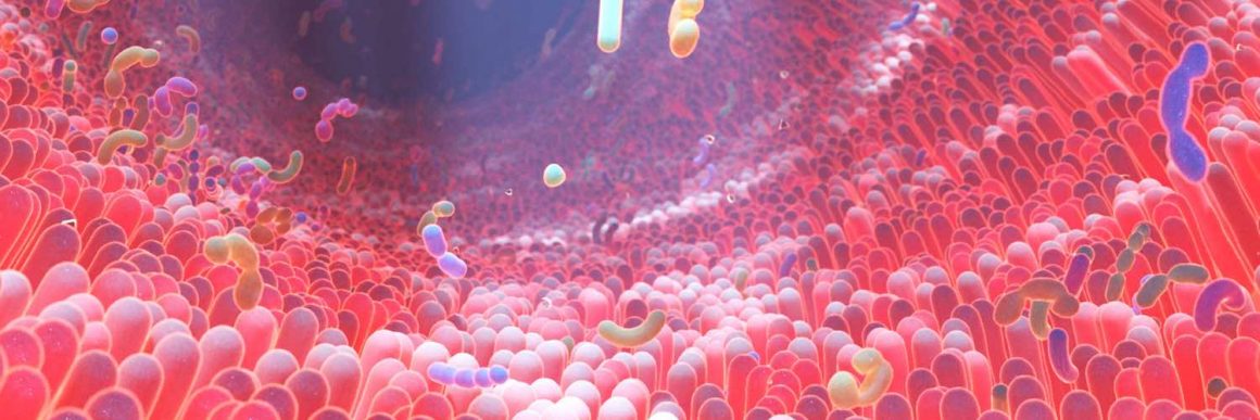 Gut microbiome offers new avenue for detecting colorectal cancer