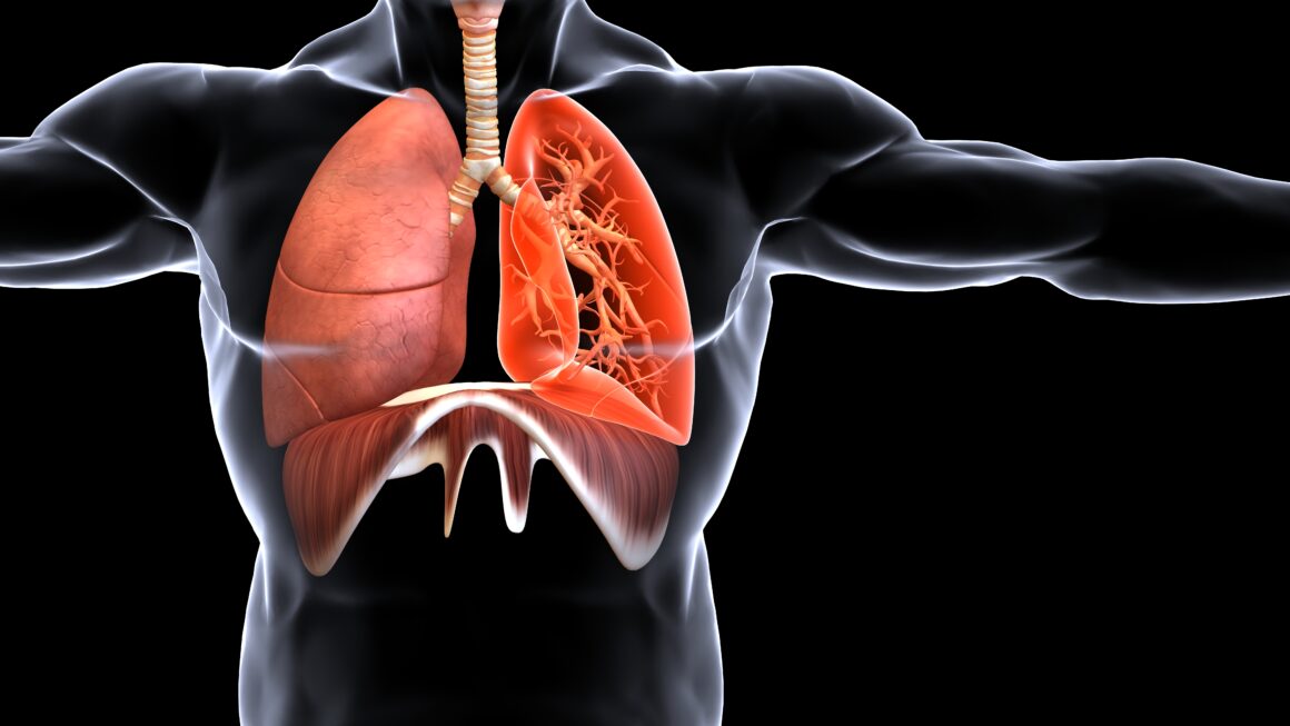 Key link identified in mechanism promoting lung metastases from breast cancer