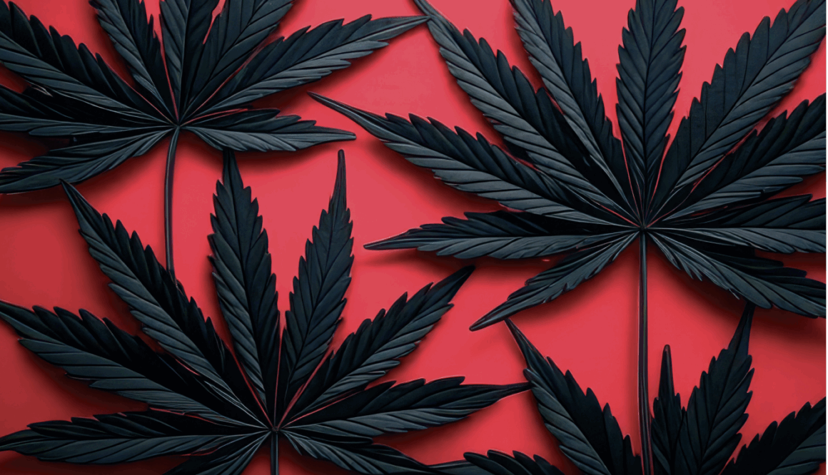 Cannabis Use is Linked to Increased Mortality in Colon Cancer Patients